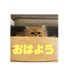むんstamp2（個別スタンプ：8）
