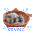 もあ♡チャーシェル（個別スタンプ：5）