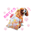 もあ♡チャーシェル（個別スタンプ：8）