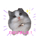 もあ♡チャーシェル（個別スタンプ：10）