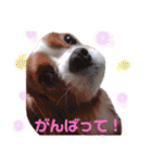 もあ♡チャーシェル（個別スタンプ：22）