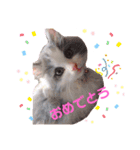もあ♡チャーシェル（個別スタンプ：25）