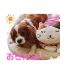 もあ♡チャーシェル（個別スタンプ：30）
