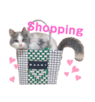もあ♡チャーシェル（個別スタンプ：31）