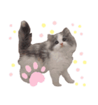 もあ♡チャーシェル（個別スタンプ：34）