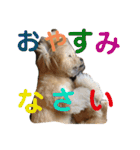富士丸スタンプ（個別スタンプ：4）