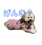 富士丸スタンプ（個別スタンプ：10）