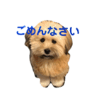 富士丸スタンプ（個別スタンプ：13）
