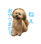 富士丸スタンプ（個別スタンプ：23）