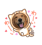 ケン太＆コウ太スタンプ（個別スタンプ：1）