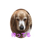 ケン太＆コウ太スタンプ（個別スタンプ：3）