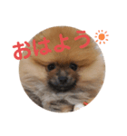 ケン太＆コウ太スタンプ（個別スタンプ：5）