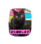 にんざぶろう。よんっ（個別スタンプ：2）