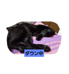 にんざぶろう。よんっ（個別スタンプ：3）