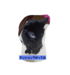 にんざぶろう。よんっ（個別スタンプ：5）