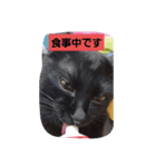にんざぶろう。よんっ（個別スタンプ：6）
