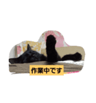 にんざぶろう。よんっ（個別スタンプ：7）