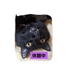 にんざぶろう。よんっ（個別スタンプ：8）