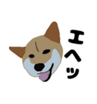 ひねくれてしまった柴犬（個別スタンプ：1）