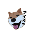 ひねくれてしまった柴犬（個別スタンプ：3）