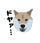 ひねくれてしまった柴犬（個別スタンプ：4）