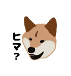 ひねくれてしまった柴犬（個別スタンプ：5）