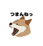 ひねくれてしまった柴犬（個別スタンプ：8）