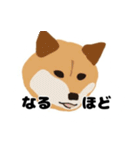 ひねくれてしまった柴犬（個別スタンプ：10）