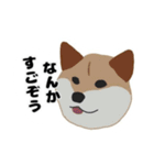 ひねくれてしまった柴犬（個別スタンプ：11）