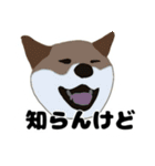 ひねくれてしまった柴犬（個別スタンプ：13）