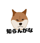 ひねくれてしまった柴犬（個別スタンプ：14）