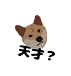 ひねくれてしまった柴犬（個別スタンプ：16）