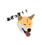 ひねくれてしまった柴犬（個別スタンプ：17）