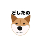 ひねくれてしまった柴犬（個別スタンプ：19）