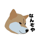 ひねくれてしまった柴犬（個別スタンプ：20）