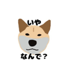 ひねくれてしまった柴犬（個別スタンプ：22）