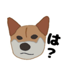 ひねくれてしまった柴犬（個別スタンプ：23）