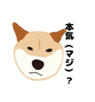 ひねくれてしまった柴犬（個別スタンプ：24）