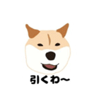 ひねくれてしまった柴犬（個別スタンプ：25）