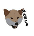 ひねくれてしまった柴犬（個別スタンプ：26）