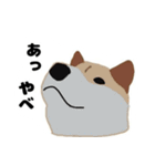 ひねくれてしまった柴犬（個別スタンプ：27）