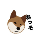 ひねくれてしまった柴犬（個別スタンプ：31）