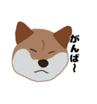 ひねくれてしまった柴犬（個別スタンプ：34）