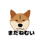 ひねくれてしまった柴犬（個別スタンプ：35）