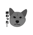 ひねくれてしまった柴犬（個別スタンプ：40）