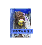 いろいろな鳥さん達のスタンプ（個別スタンプ：10）