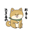 柴犬といっしょ！（個別スタンプ：3）