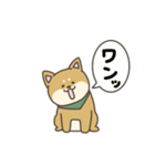 柴犬といっしょ！（個別スタンプ：26）