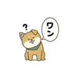 柴犬といっしょ！（個別スタンプ：27）