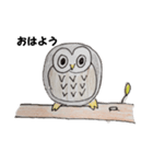 ボーっとフクロウのあいさつ（個別スタンプ：1）